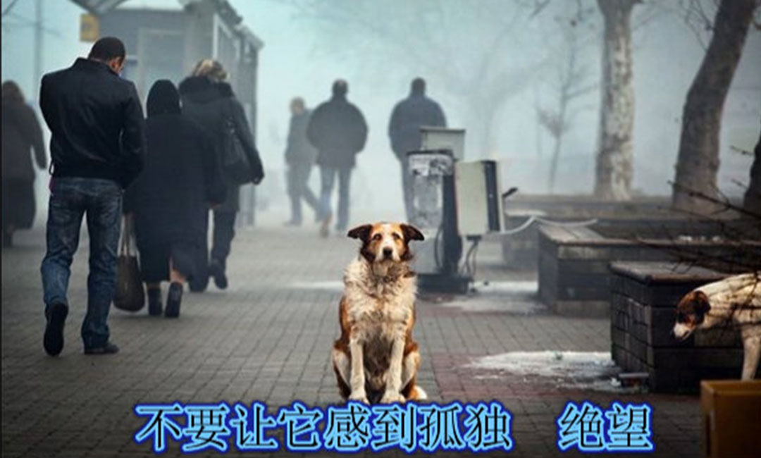 衢州衢州爱影圈微博微信转发案例